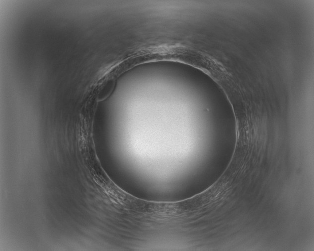 X0000057081158200509120913