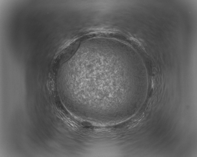 X0000057081159200509120913