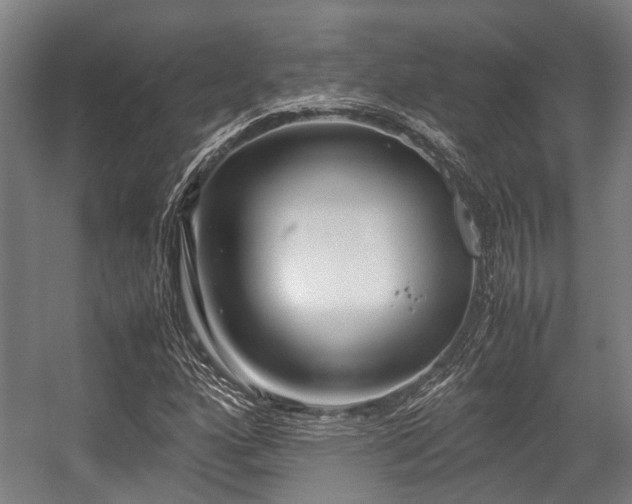 X0000057081160200509120913