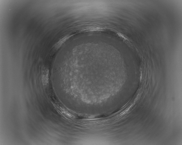 X0000057081161200509120913