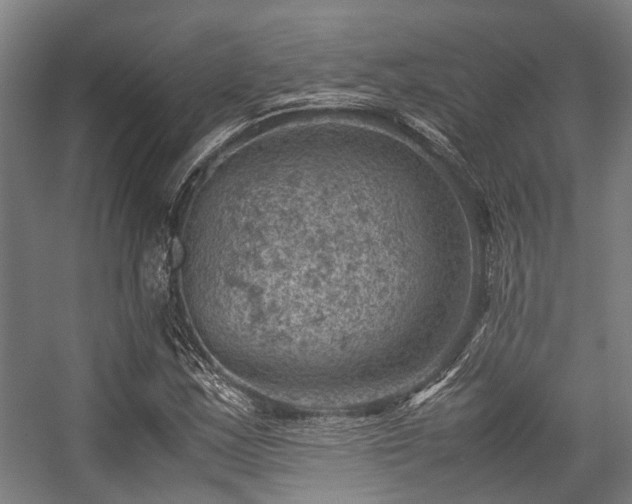 X0000057081163200509120913