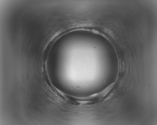 X0000057081165200509120913