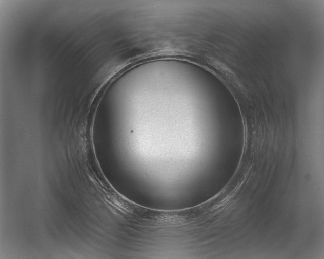 X0000057081170200509120912