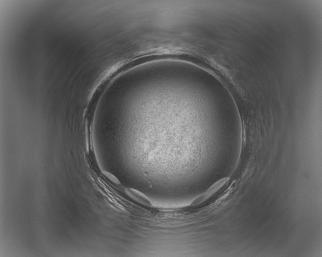 X0000057081171200509120912