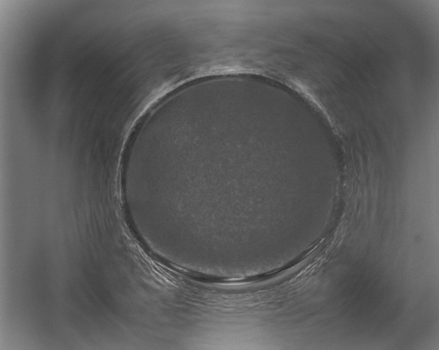 X0000057081173200509120912