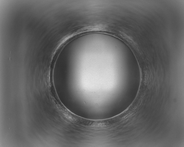 X0000057081174200509120912