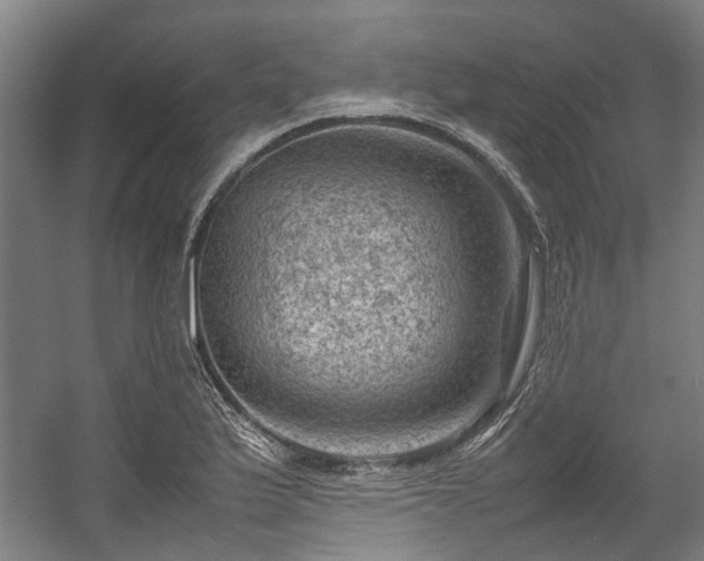 X0000057081175200509120912