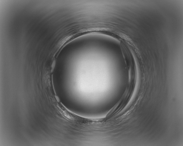 X0000057081177200509120912