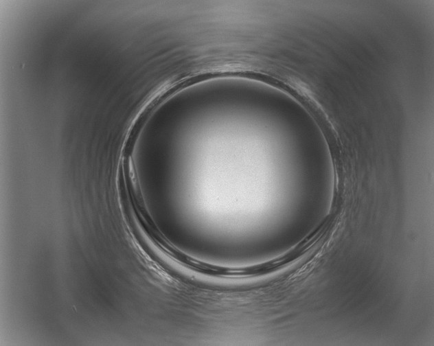 X0000057081181200509120912