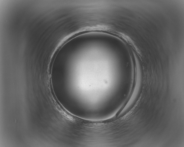 X0000057081184200509120912