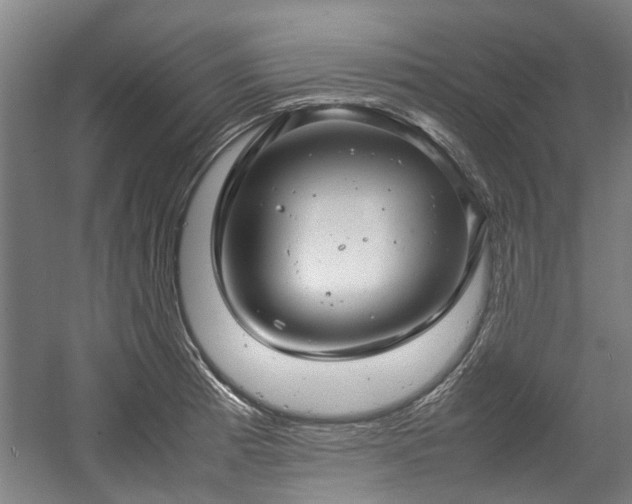 X0000057081185200509120912