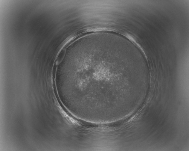 X0000057081189200509120912