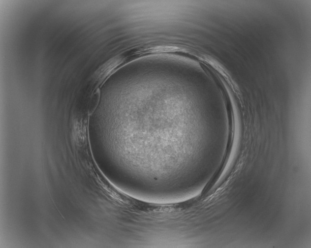 X0000057081193200509120912