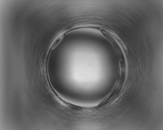 X0000057081197200509120912