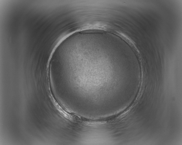 X0000057081200200509120912