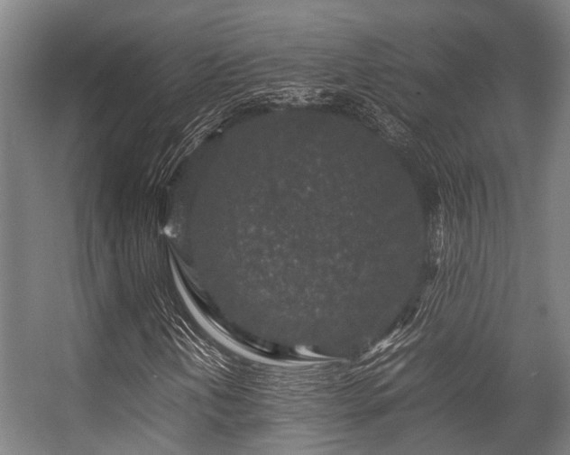 X0000057081202200509120911