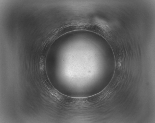 X0000057081204200509120911