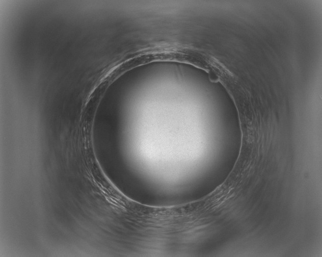 X0000057081208200509120911