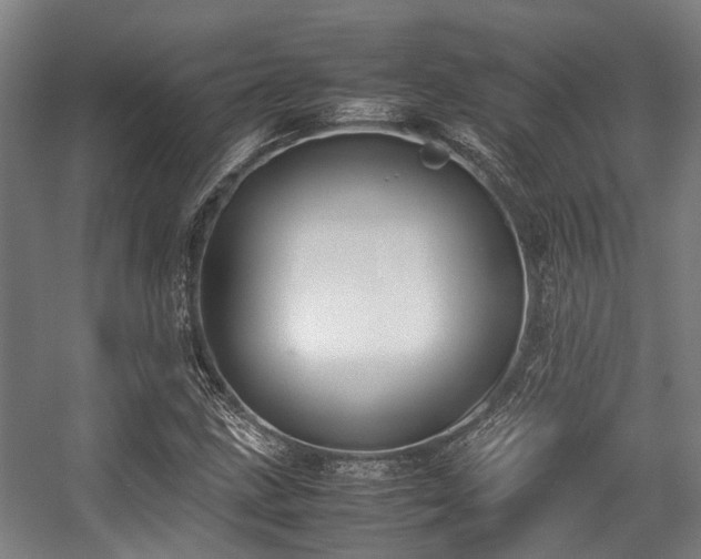 X0000057081211200509120911