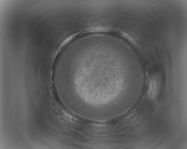 X0000057081213200509120911