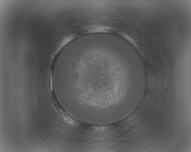 X0000057081219200509120911