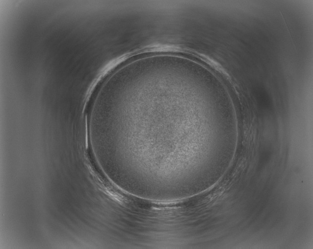 X0000057081223200509120912