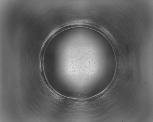 X0000057081224200509120912