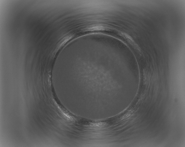 X0000057081225200509120912