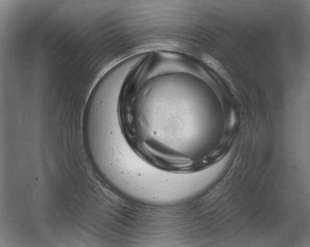 X0000057081226200509120912