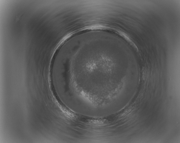 X0000057081229200509120912