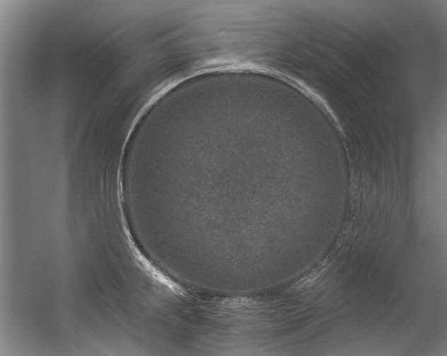 X0000057081239200509120912