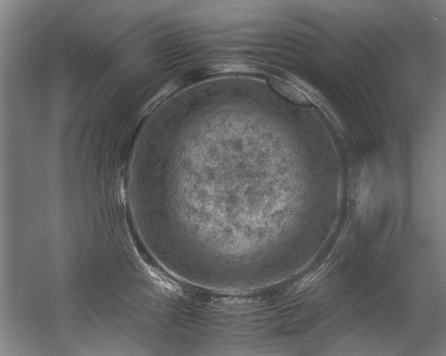 X0000057081241200509120912