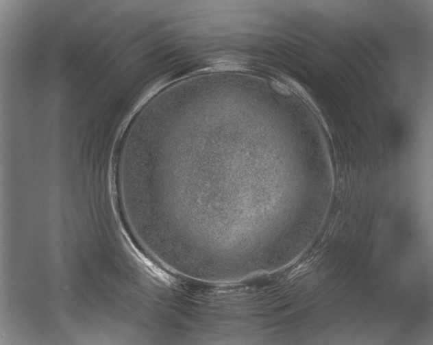 X0000057081243200509120912