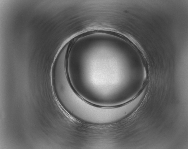 X0000057081246200509120912