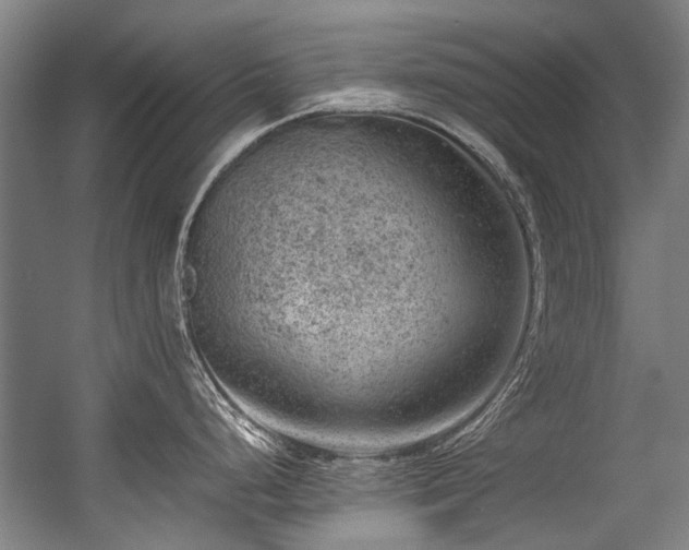 X0000057081248200509120912