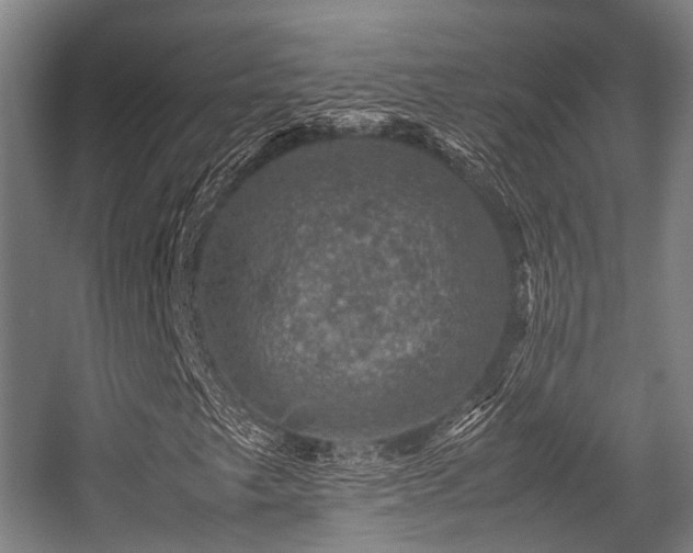 X0000057081249200509120911