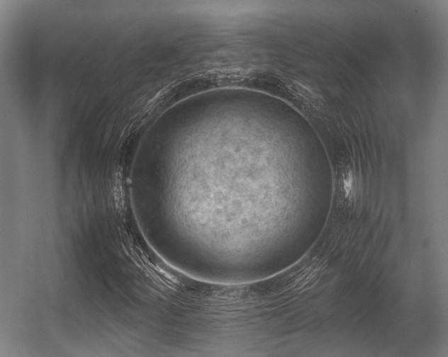 X0000057081252200509120911