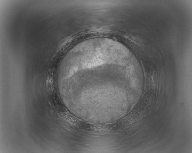 X0000057081254200509120911