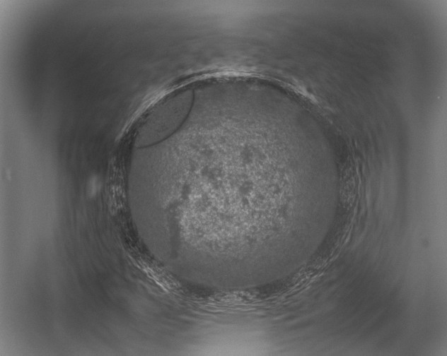 X0000057081255200509120911