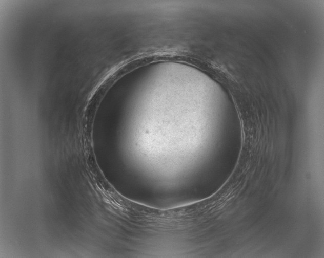 X0000057081256200509120911