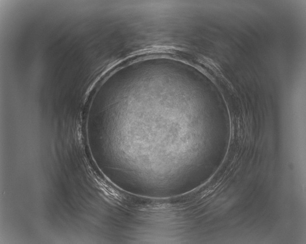 X0000057081260200509120911