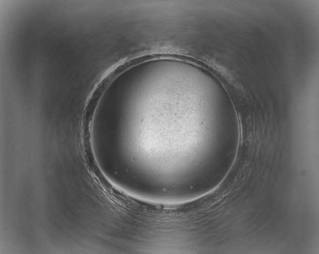 X0000057081264200509120911