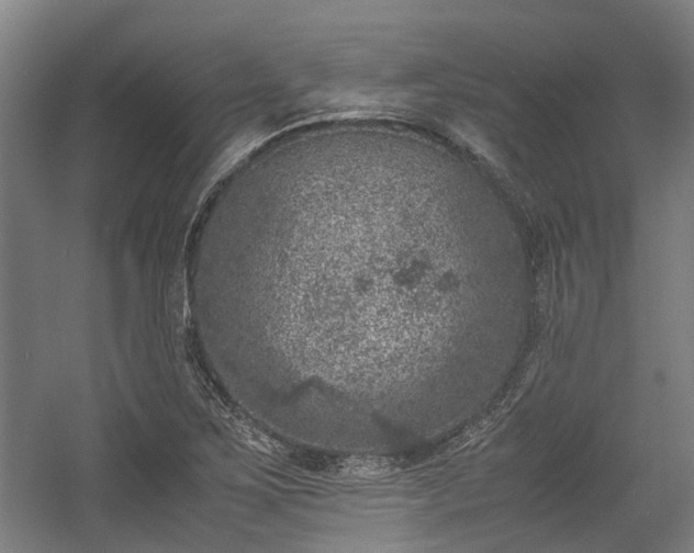 X0000057081267200509120911