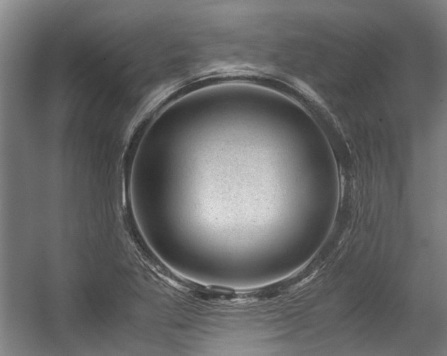 X0000057081269200509120911