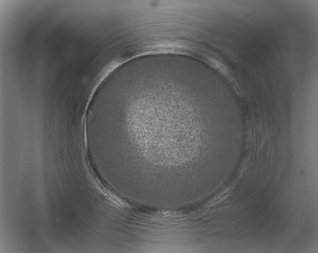 X0000057081275200509120911