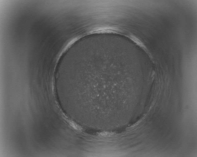 X0000057081277200509120911