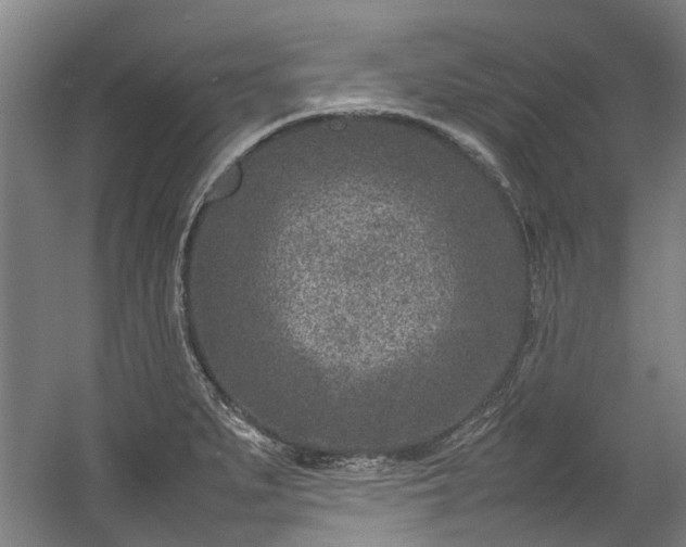 X0000057081279200509120911