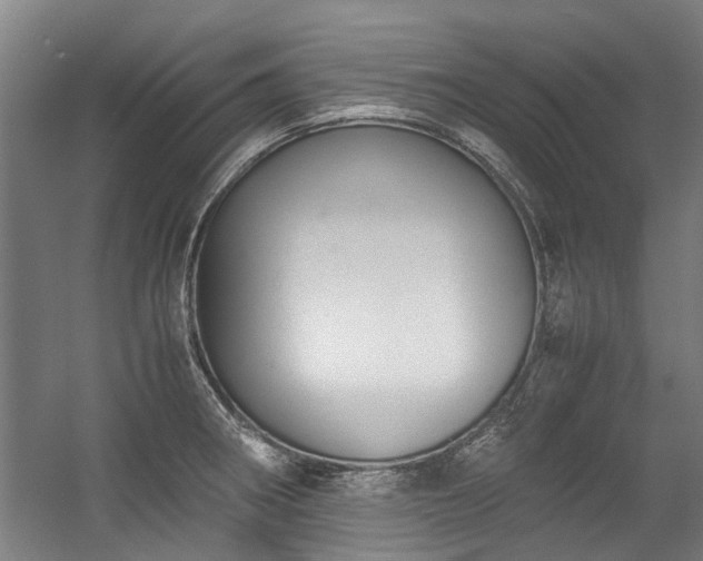 X0000057081282200509120911