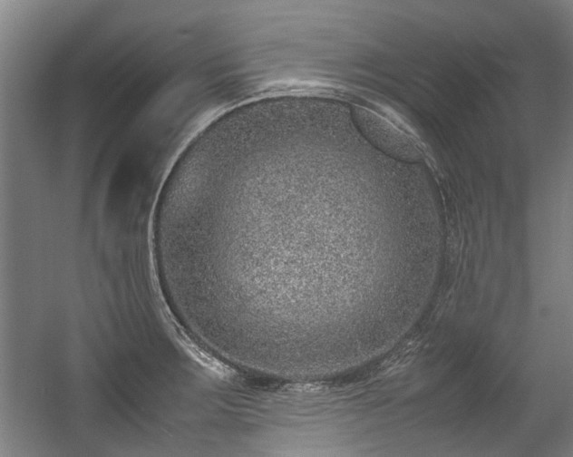 X0000057081283200509120911