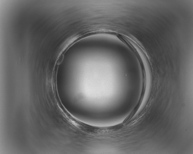 X0000057081293200509120910